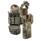 Плитоноски
