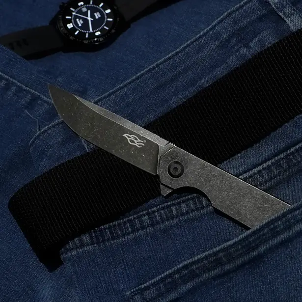 8 - Нож складной Ganzo Firebird FH13SS