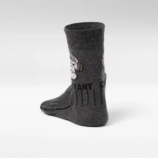 5 - Носки трекинговые Combatant Patrol Core Mid Summer. Серый