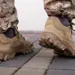 5 - Черевики тактичні Vardus