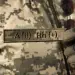 4 - Патч (шеврон) Specprom Группа крови А(2) Rh (+). Цвет Пиксель