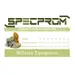 12 - Черевики тактичні LOWA (Replika) ZEPHYR GTX® MID TF. REPLIKA. Койот.