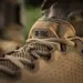 5 - Кроссовки M-TAC Summer Pro Coyote