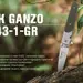 12 - Нож складной Ganzo G743-1-GR