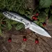11 - Складной нож Ruike P135-SF