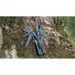 8 - Мультитул Multi Tool Ganzo G202B
