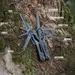 4 - Мультитул Multi Tool Ganzo G202B