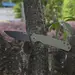 2 - Складной нож Ruike P801-G