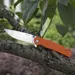 17 - Складной нож Ruike P801-G