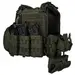 1 - Плитоноска Ares Gen.2. (Комплект 7 підсумків) з системою швидкого скидання. Molle. Колір Олива