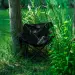 8 - Крісло складне Pentagon Tac Maven CAMP CHAIR Олива