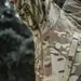 2 - Куртка M-Tac Soft Shell. Мультикам