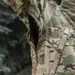 12 - Куртка M-Tac Soft Shell. Мультикам
