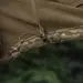 7 - Куртка M-Tac Soft Shell. Мультикам