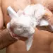 8 - Сухой душ TakeHot (1 шт)