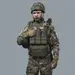 3 - Плитоноска SVAROG (Комплект 9 подсумков) с системой быстрого сброса. Molle. Цвет Олива.