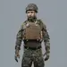 3 - Плитоноска TUR PRO Gen 2, система швидкого скидання. Molle. Колір Койот. Розмір XL.