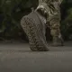 9 - Кросівки M-TAC M-TAC Summer Light Dark Olive