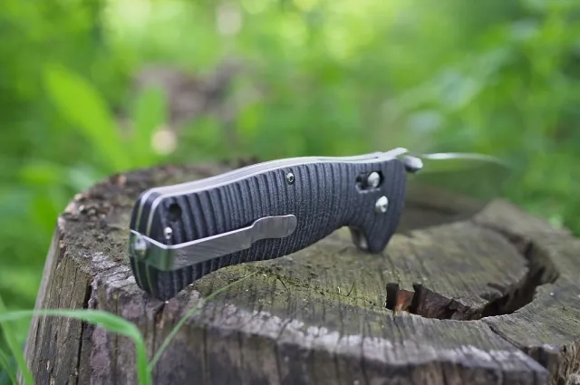 2 - Нож складной Ganzo G720-B черный