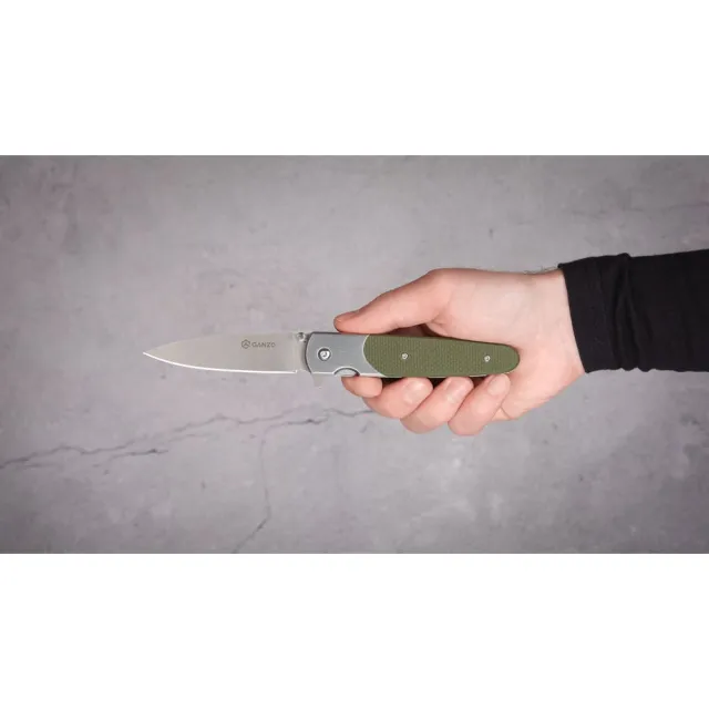 10 - Нож складной Ganzo G743-1-GR
