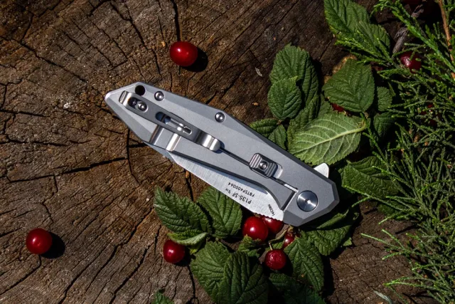 9 - Складний ніж Ruike P135-SF