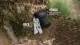 3 - Мультитул Multi Tool Ganzo G104 S