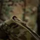 18 - Планшет-органайзер M-TAC А5 Elite Multicam