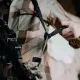 6 - Ремінь збройовий RAGNAROK Katana (KATANA-К) з QD-антабками, Койот