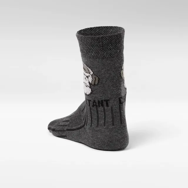5 - Носки трекинговые Combatant Patrol Core Mid Summer. Серый