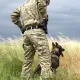 7 - Тактические штаны Pentagon Lycos Combat. Мультикам